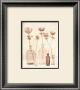 Anemones Ii by Amy Melious Limited Edition Print