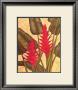 Tropical Heliconia by Dianne Krumel Limited Edition Pricing Art Print