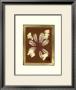 Dusky Leaves Iv by Jennifer Goldberger Limited Edition Print