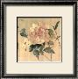 Peony Ii by Cara Jones Limited Edition Print