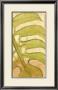 Ginger Leaves Iv by Jennifer Goldberger Limited Edition Pricing Art Print