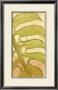 Ginger Leaves Iv by Jennifer Goldberger Limited Edition Print