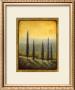 Morning Path Ii by Laurie Tavino Limited Edition Print