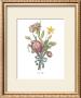 Roses by Jean Louis Prevost Limited Edition Print