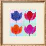 Tulip Quadrant Ii by Katja Marzahn Limited Edition Pricing Art Print