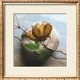 Branch On Stone by Glen & Gayle Wans Limited Edition Pricing Art Print