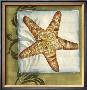 Starfish Medley I by Jennifer Goldberger Limited Edition Pricing Art Print
