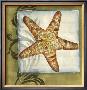 Starfish Medley I by Jennifer Goldberger Limited Edition Print