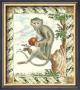 Rhesus Macaque Monkey by Georges-Louis Buffon Limited Edition Print