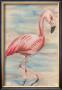 Pink Flamingo I by Jennifer Goldberger Limited Edition Print