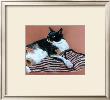 Tortie On Tiger Rug by Mary Stubberfield Limited Edition Print