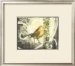 Bird Song I by Jennifer Goldberger Limited Edition Pricing Art Print