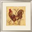 Golden Plumage by Laurel Lehman Limited Edition Print