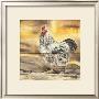 Poule Blanche by Clauva Limited Edition Print