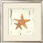 Starfish Ii by Grace Pullen Limited Edition Pricing Art Print