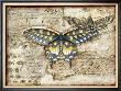 Poetic Butterfly Ii by Chariklia Zarris Limited Edition Print