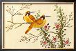 Yellow Birds On Branch by Anonymous Limited Edition Print