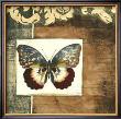 Butterfly Collage Ii by Jennifer Goldberger Limited Edition Print