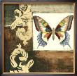Butterfly Collage I by Jennifer Goldberger Limited Edition Print