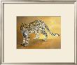 Leopard De Seronera by Danielle Beck Limited Edition Print