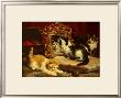 Kittens, 1893 by Charles Van Den Eycken Limited Edition Print