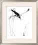 Perched Bird by Aurore De La Morinerie Limited Edition Print