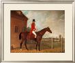 Lord Bolton On A Bay Hunter by David Dalby Of York Limited Edition Print