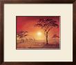 Etosha by Leon Wells Limited Edition Print