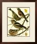 Domestic Bird Family Ii by W. Rutledge Limited Edition Pricing Art Print
