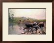 Pasture Cattle At Watering Hole by Vaclav Brozik Limited Edition Print