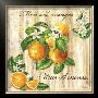 Mon Bel Oranger by Noel Romero Limited Edition Print