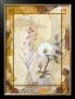 Himalayan Wildflowers by Sara Gilbert Limited Edition Pricing Art Print