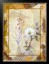 Himalayan Wildflowers by Sara Gilbert Limited Edition Print