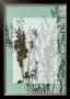 Translucent Wildflowers I by Jennifer Goldberger Limited Edition Pricing Art Print