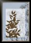 Translucent Wildflowers V by Jennifer Goldberger Limited Edition Pricing Art Print