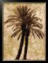 Palm Collage I by John Seba Limited Edition Pricing Art Print