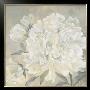 Paeonia I by Jettie Roseboom Limited Edition Pricing Art Print