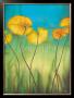 Etang De Nenuphars by Valerie Delmas Limited Edition Pricing Art Print