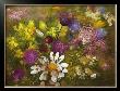 Potpourri Of Flowers Ii by Fasani Limited Edition Print