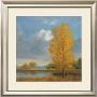 Ginkgo Reflections by Jill Schultz Mcgannon Limited Edition Print