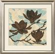 Embossed Magnolia I by Melissa Pluch Limited Edition Pricing Art Print