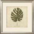 Windowleaf by Becky Davis Limited Edition Print