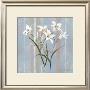Stripes And Lilies by Rosalind Oesterle Limited Edition Pricing Art Print
