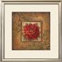 Sacred Rose I by Elaine Vollherbst-Lane Limited Edition Print