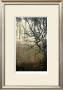 Wooded Solace Iii by Jennifer Goldberger Limited Edition Pricing Art Print