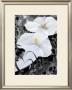 White And Grey Ii by Michael Martensen Limited Edition Print