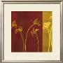 Stems Xi by Mary Margaret Briggs Limited Edition Print