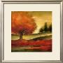Harvest Maple Ii by Ethan Harper Limited Edition Print