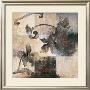 Hanging Garden Ii by D. Darien Limited Edition Print
