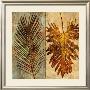 Palms Pairs Ii by John Seba Limited Edition Print